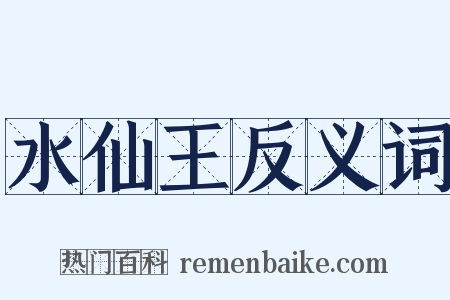 水仙王反义词是什么意思的图片
